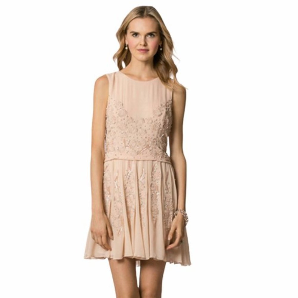 Jenny Yoo Collection Blaire Hand Embroidered/Embellished Dress in Blush …